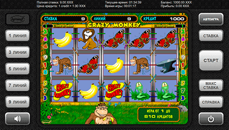 Crazy Monkey